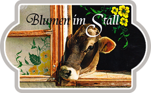 Blumen im Stall